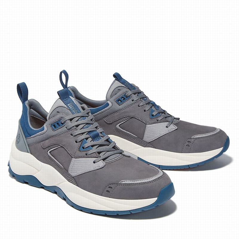 Timberland Tree Racer Koža Tenisice Sive | 90302798