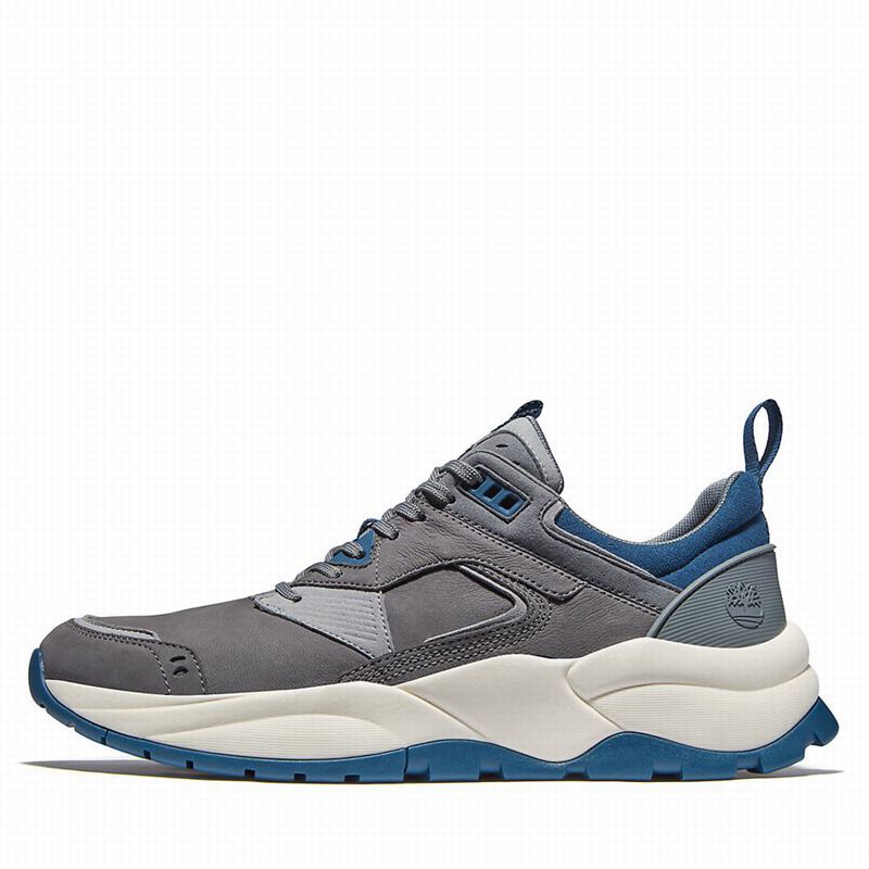 Timberland Tree Racer Koža Tenisice Sive | 90302798