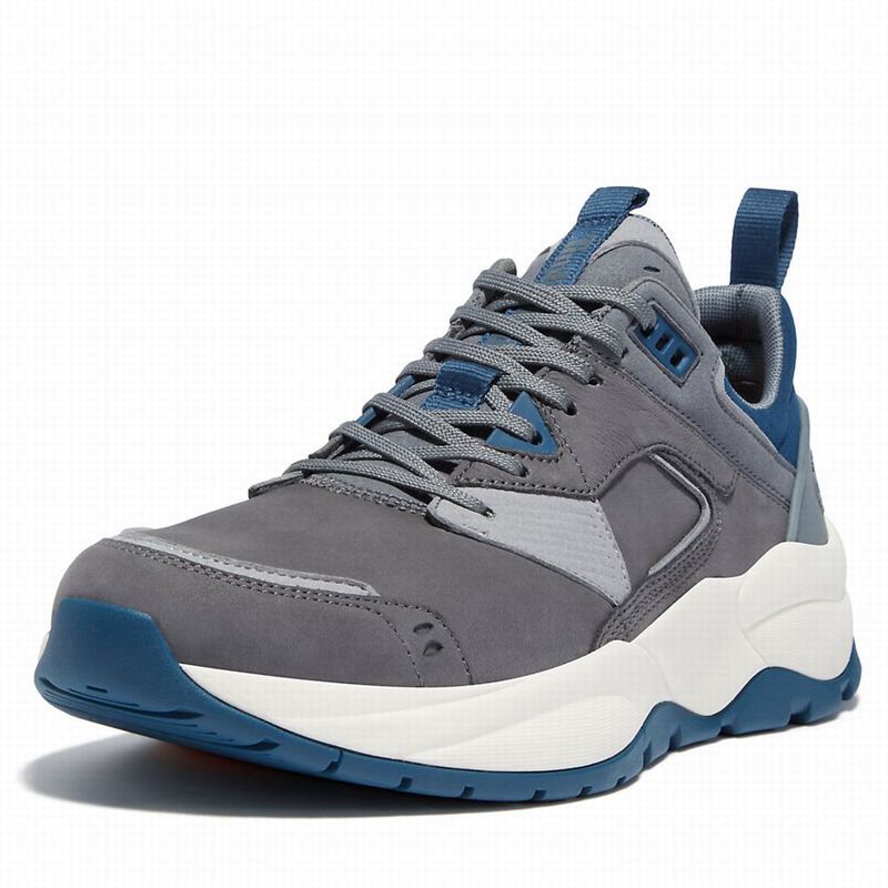 Timberland Tree Racer Koža Tenisice Sive | 90302798
