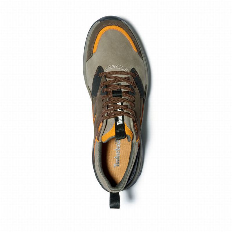Timberland Tree Racer Koža Tenisice Smeđe | 16933021