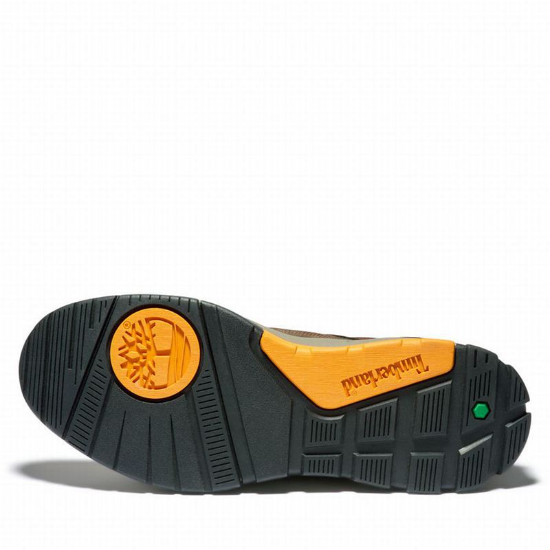 Timberland Tree Racer Koža Tenisice Smeđe | 16933021
