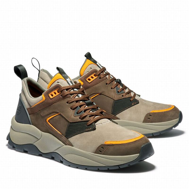 Timberland Tree Racer Koža Tenisice Smeđe | 16933021