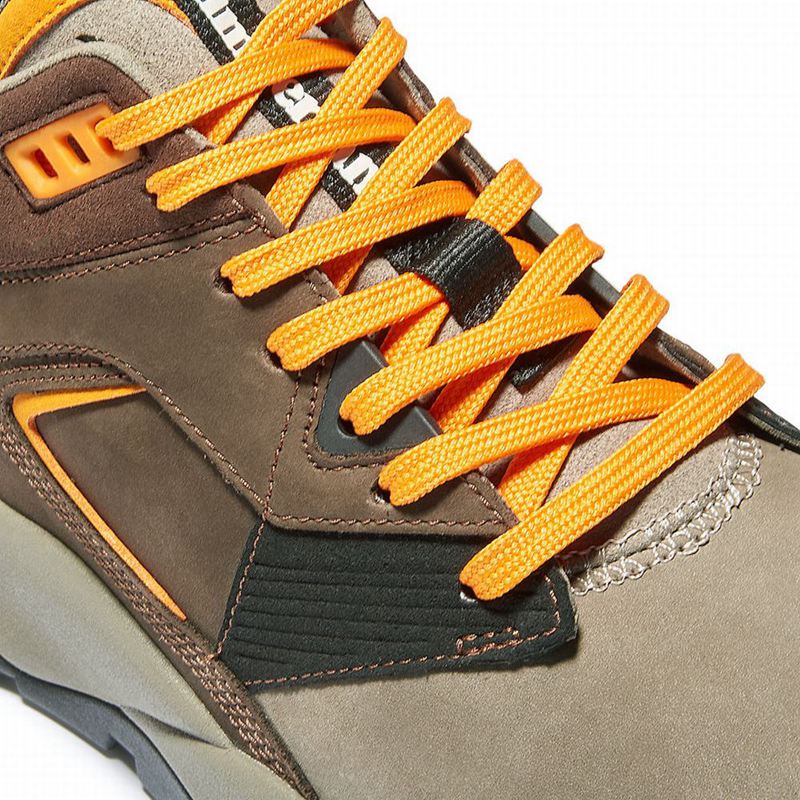 Timberland Tree Racer Koža Tenisice Smeđe | 16933021