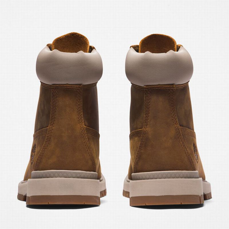 Timberland Tree Vault 6 Inch Čizme Smeđe | 59406425