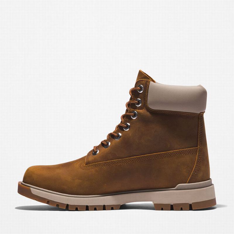 Timberland Tree Vault 6 Inch Čizme Smeđe | 59406425