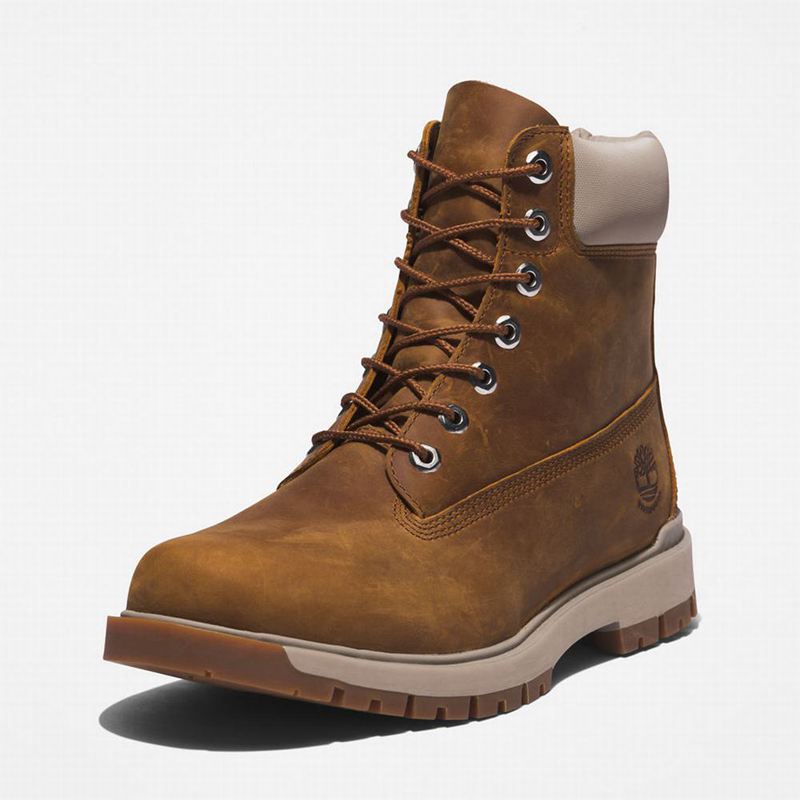 Timberland Tree Vault 6 Inch Čizme Smeđe | 59406425