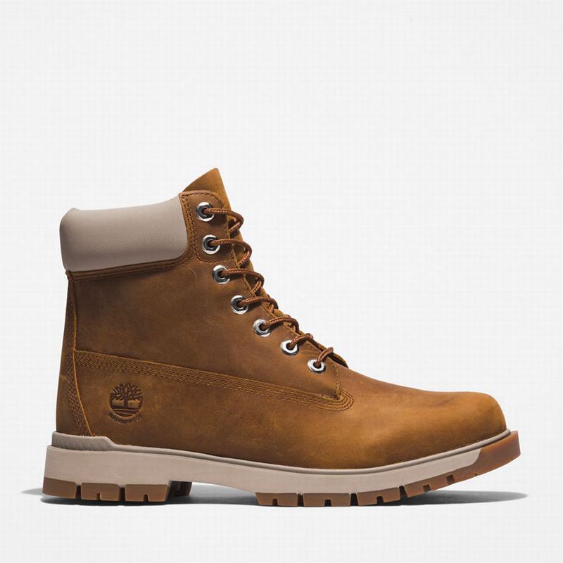 Timberland Tree Vault 6 Inch Čizme Smeđe | 59406425