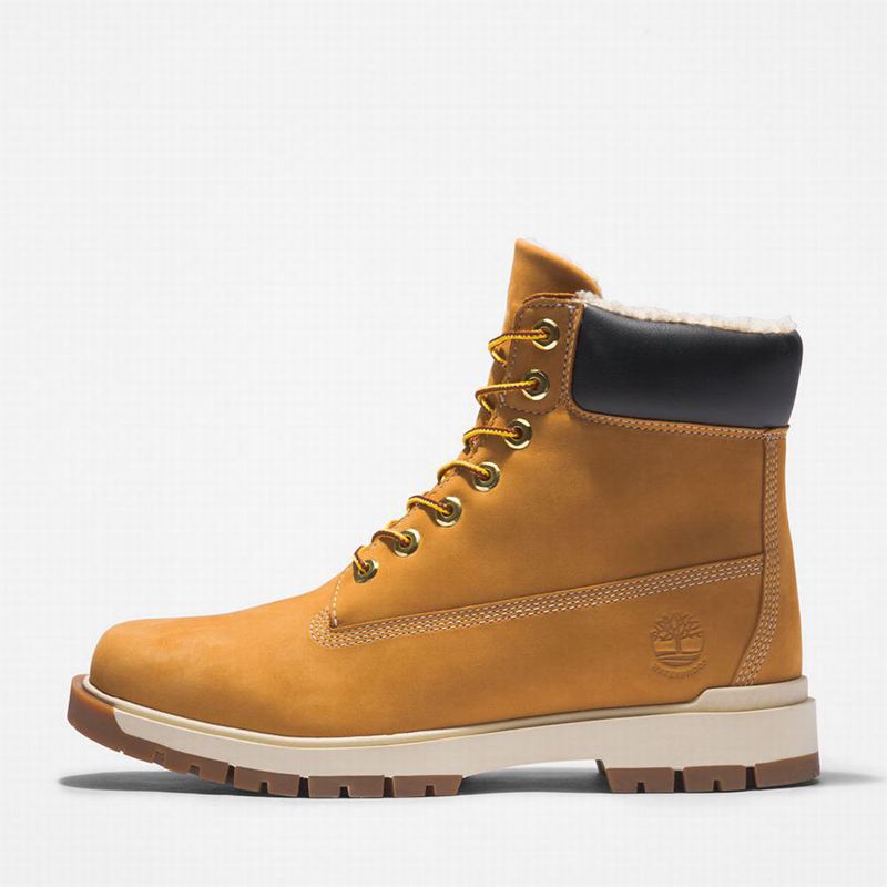 Timberland Tree Vault 6 Inch Čizme Žute | 84364386