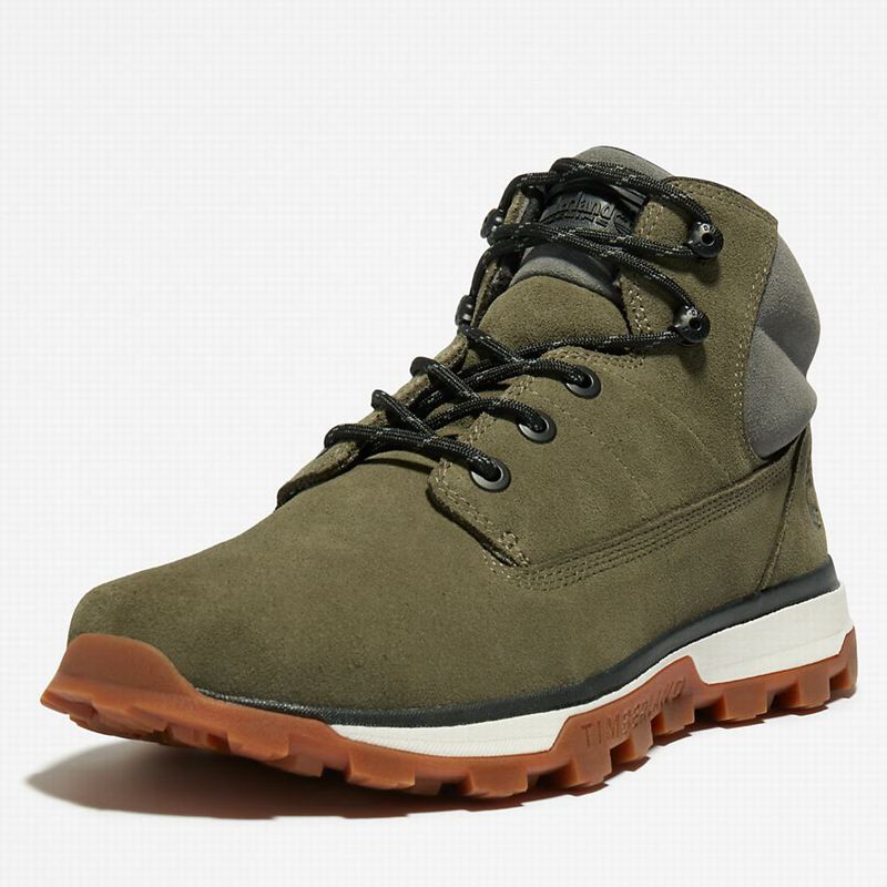 Timberland Treeline Chukka Čizme Maslinasto Zelene | 16149457