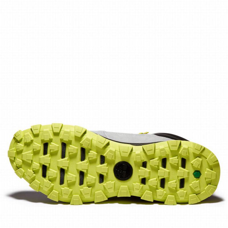 Timberland Treeline Chukka Čizme Sive | 96420263