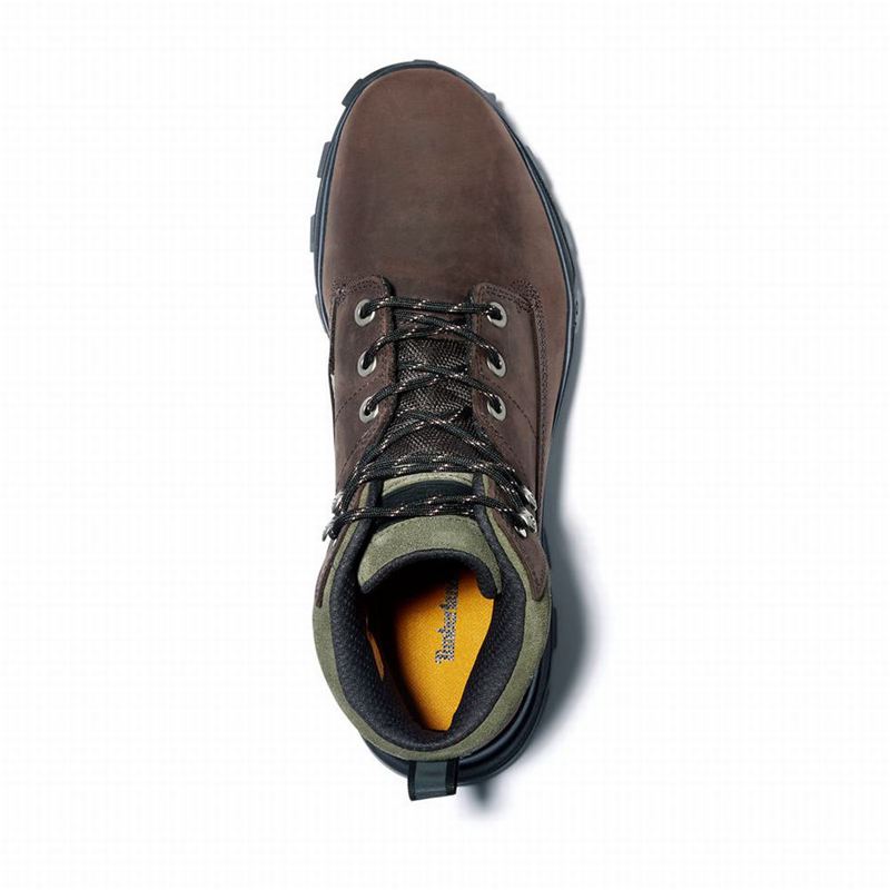 Timberland Treeline Chukka Čizme Smeđe | 34437683