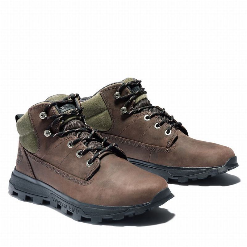Timberland Treeline Chukka Čizme Smeđe | 34437683