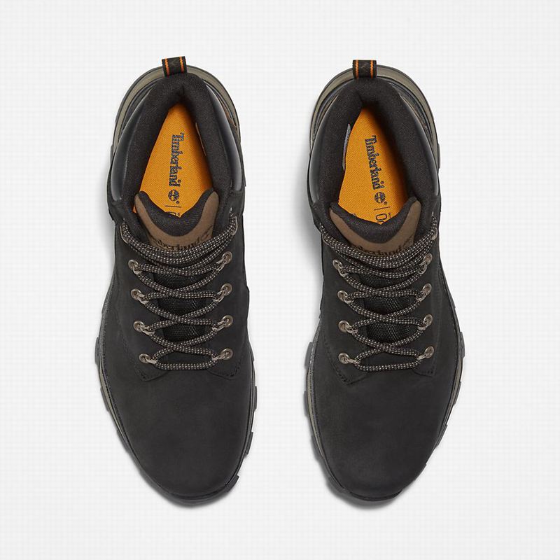 Timberland Treeline Planinarske Cipele Crne | 8445272