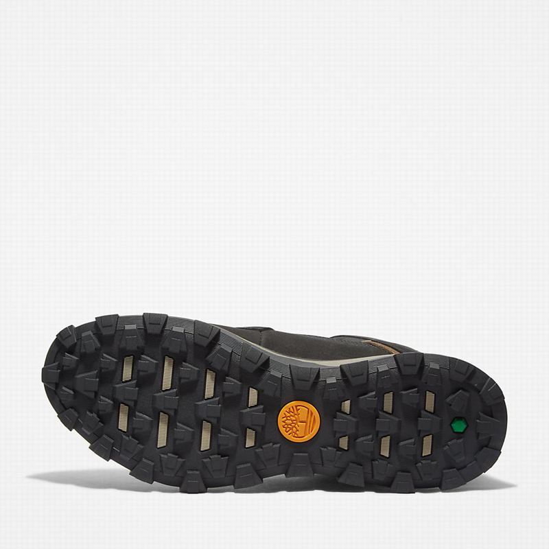 Timberland Treeline Planinarske Cipele Crne | 8445272