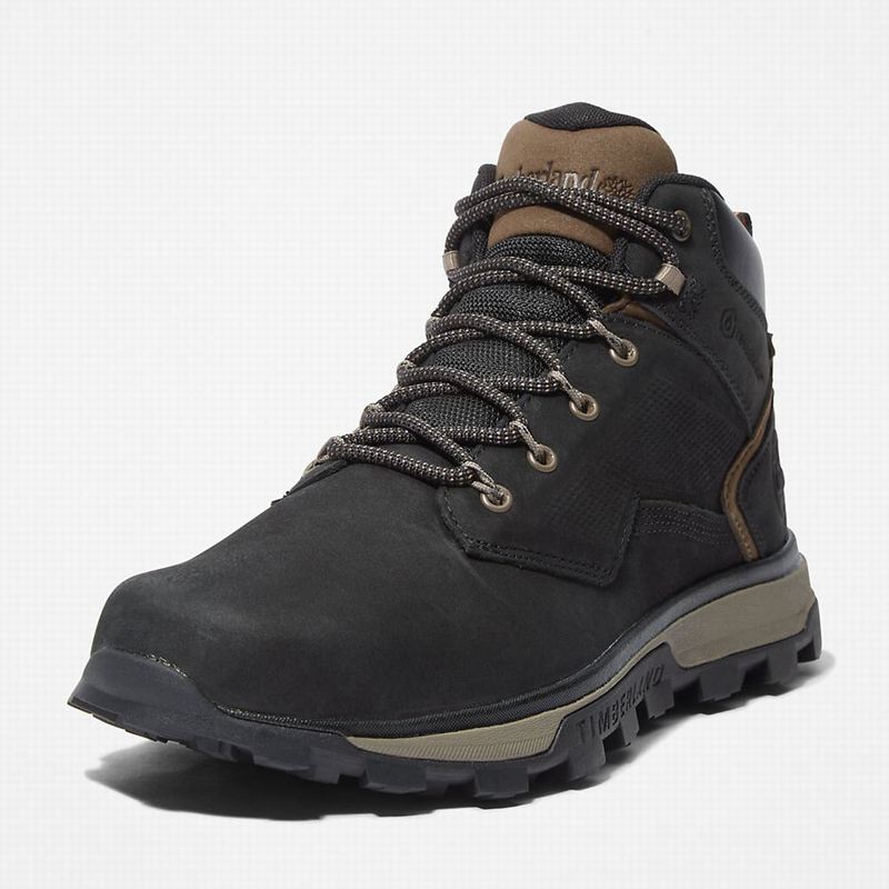 Timberland Treeline Planinarske Cipele Crne | 8445272