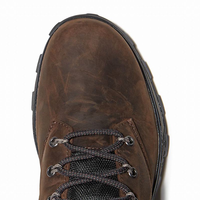 Timberland Treeline Planinarske Cipele Smeđe | 68006637