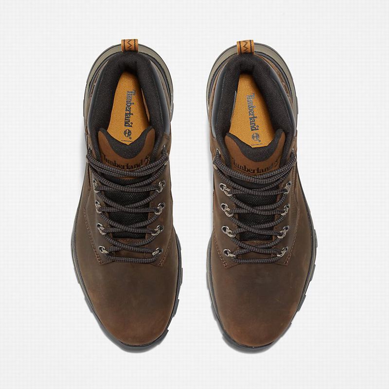 Timberland Treeline Planinarske Cipele Smeđe | 68006637