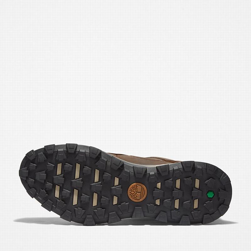 Timberland Treeline Planinarske Cipele Smeđe | 68006637