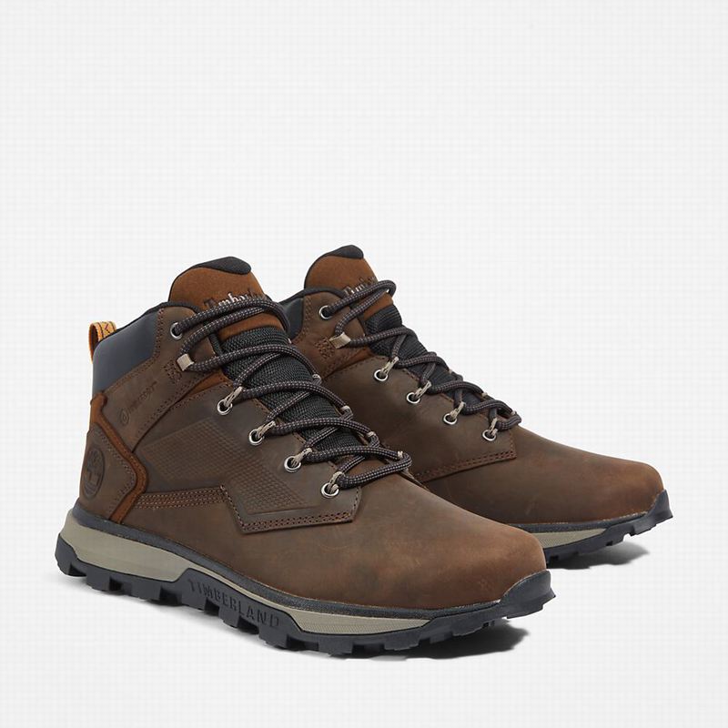 Timberland Treeline Planinarske Cipele Smeđe | 68006637