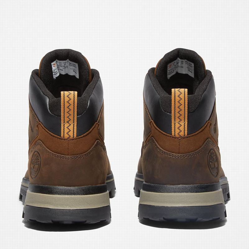 Timberland Treeline Planinarske Cipele Smeđe | 68006637