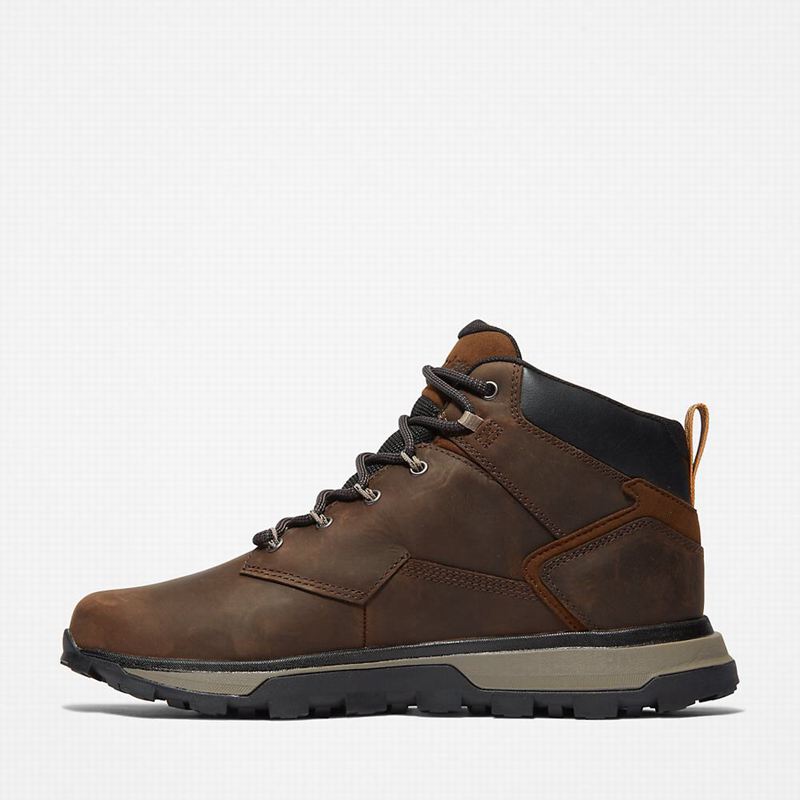 Timberland Treeline Planinarske Cipele Smeđe | 68006637