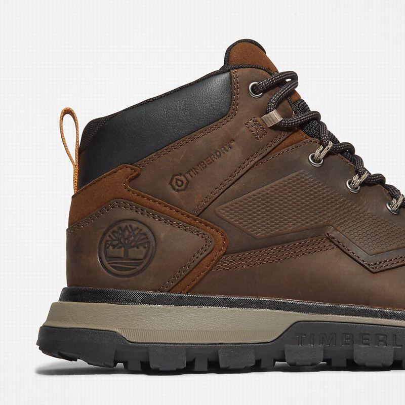 Timberland Treeline Planinarske Cipele Smeđe | 68006637