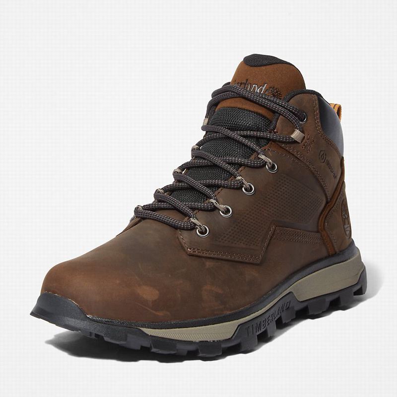 Timberland Treeline Planinarske Cipele Smeđe | 68006637