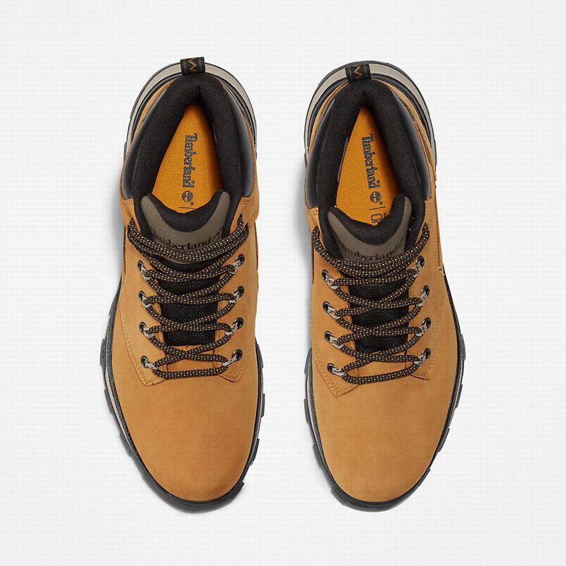 Timberland Treeline Planinarske Cipele Žute | 74093495