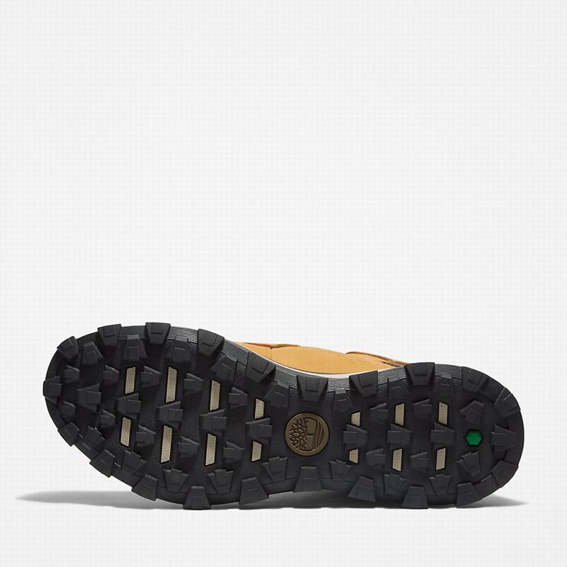 Timberland Treeline Planinarske Cipele Žute | 74093495