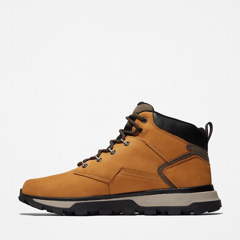 Timberland Treeline Planinarske Cipele Žute | 74093495