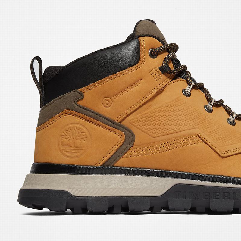 Timberland Treeline Planinarske Cipele Žute | 74093495