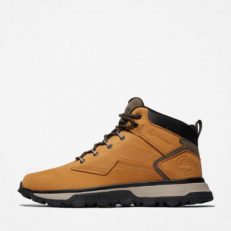 Timberland Treeline Planinarske Cipele Žute | 74093495