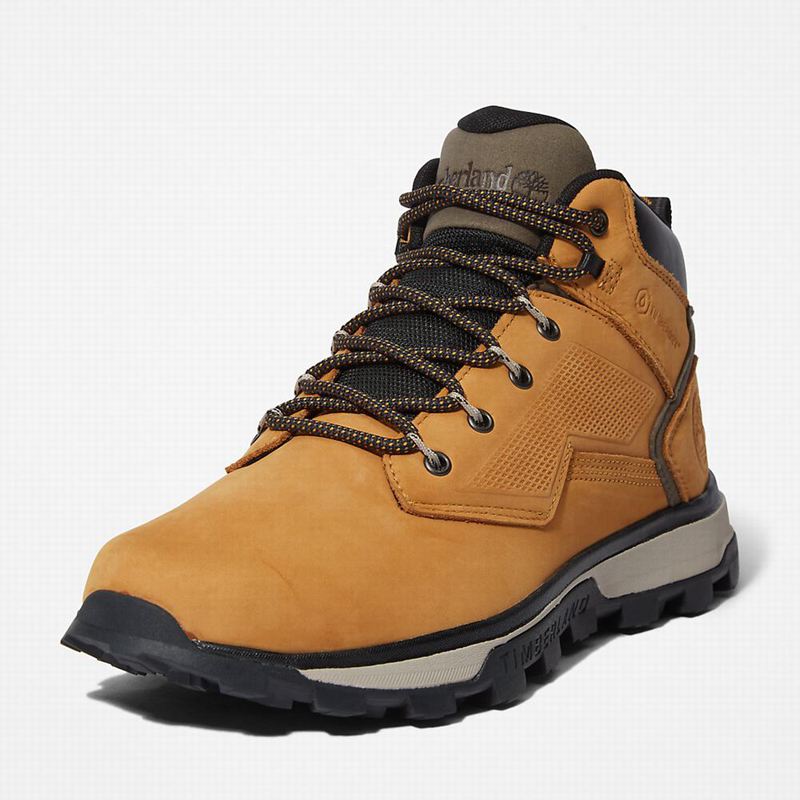Timberland Treeline Planinarske Cipele Žute | 74093495