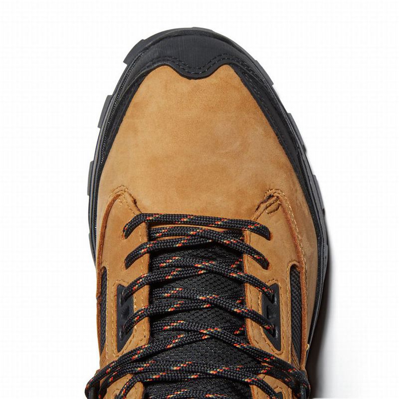 Timberland Treeline STR Mid Planinarske Cipele Žute | 99526337