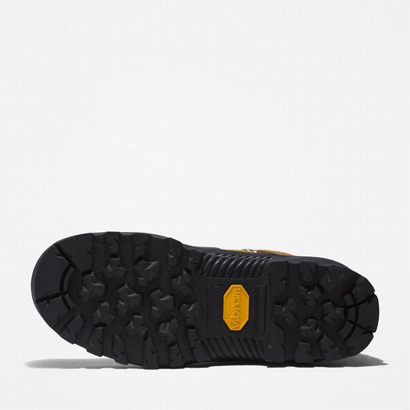 Timberland Vibram Waterproof Planinarske Cipele Maslinasto Zelene | 8353816