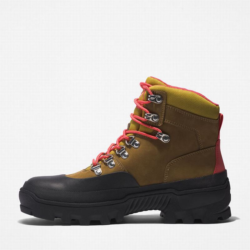 Timberland Vibram Waterproof Planinarske Cipele Maslinasto Zelene | 8353816
