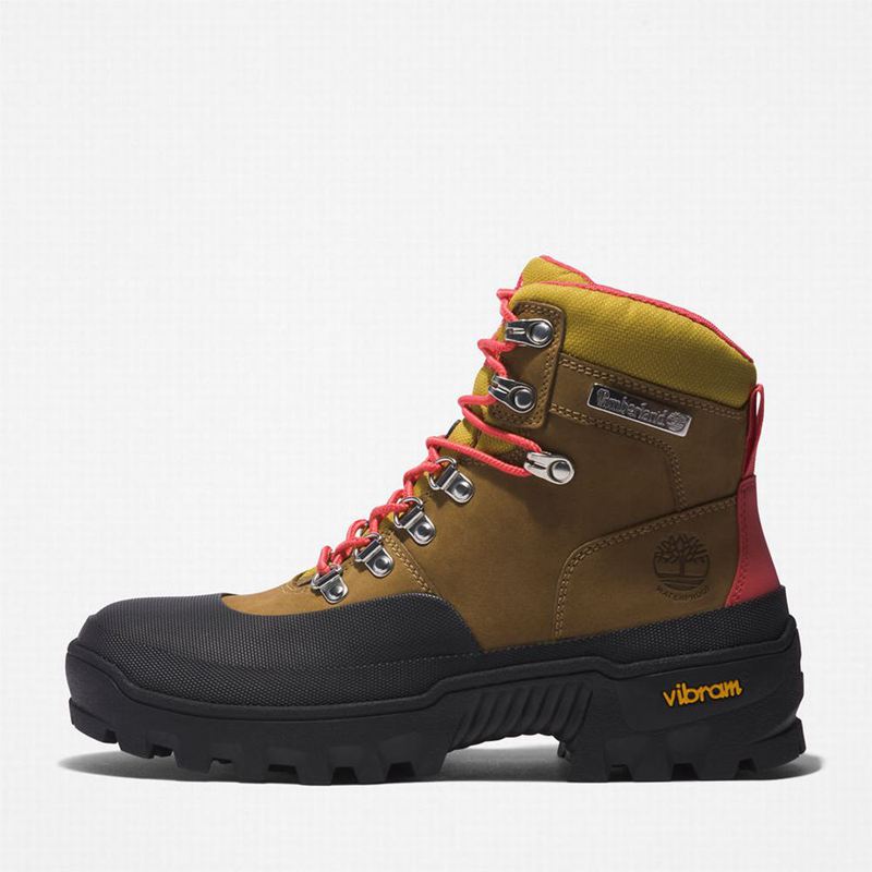 Timberland Vibram Waterproof Planinarske Cipele Maslinasto Zelene | 8353816