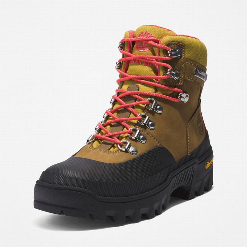 Timberland Vibram Waterproof Planinarske Cipele Maslinasto Zelene | 8353816