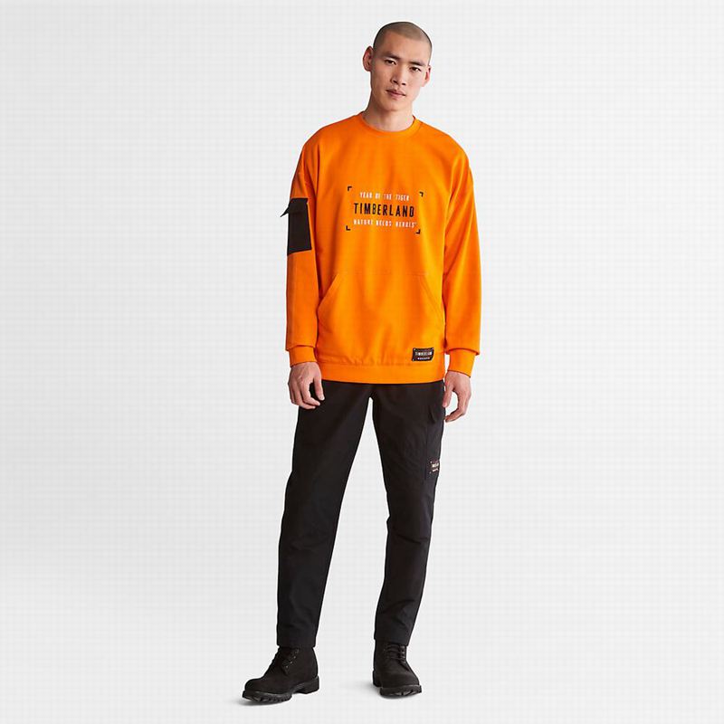 Timberland Water-Repellent Cargo Jogger Hlače Crne | 4458269