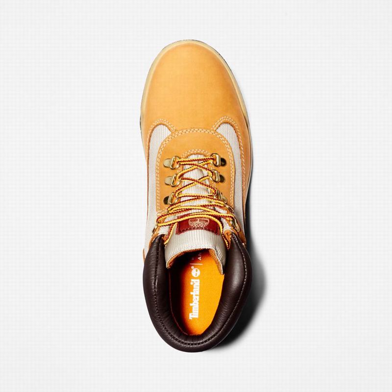 Timberland Waterproof Field Vodootporne Čizme Smeđe | 33452034