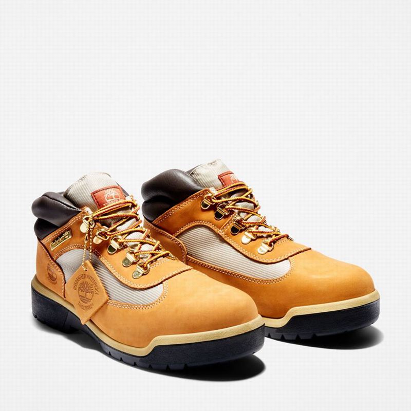 Timberland Waterproof Field Vodootporne Čizme Smeđe | 33452034