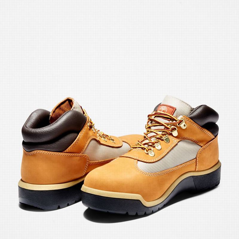 Timberland Waterproof Field Vodootporne Čizme Smeđe | 33452034