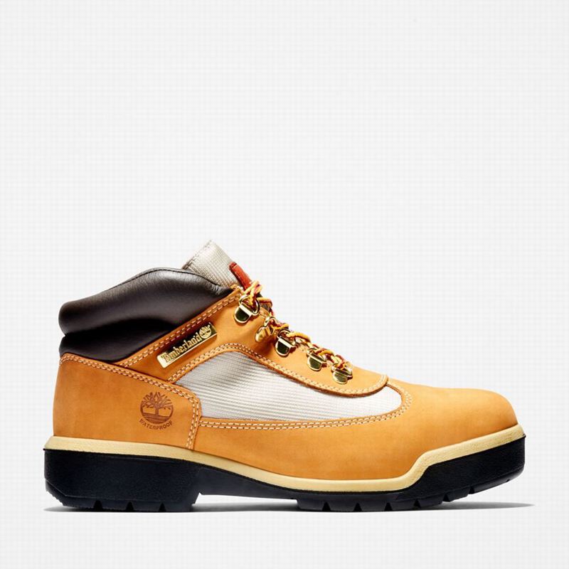 Timberland Waterproof Field Vodootporne Čizme Smeđe | 33452034