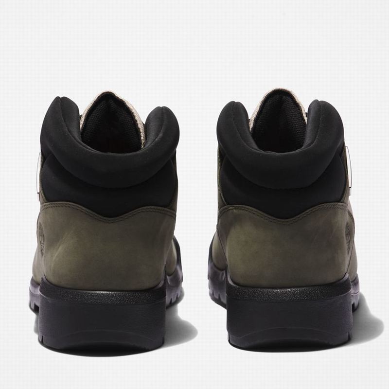Timberland Waterproof Field Vodootporne Čizme Maslinasto Zelene | 46020792