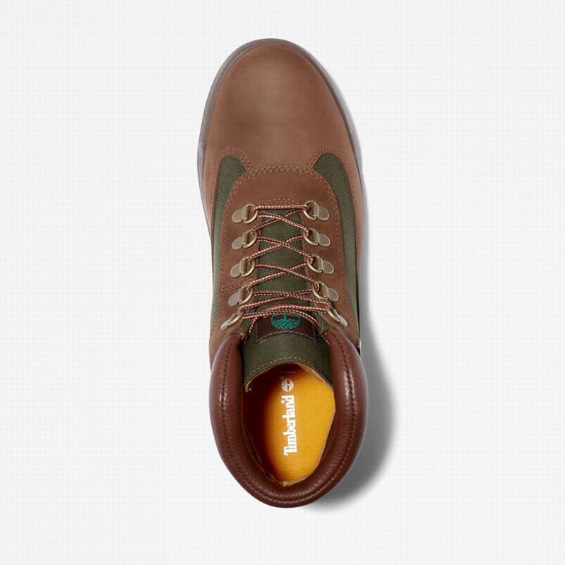Timberland Waterproof Field Vodootporne Čizme Smeđe | 49314685