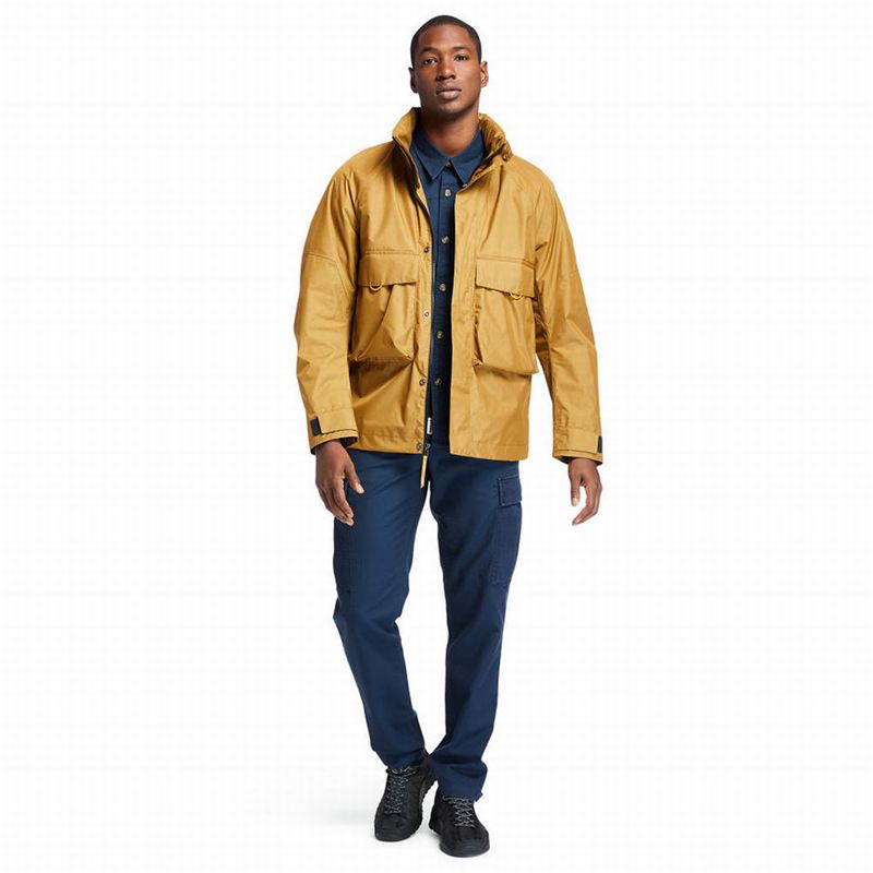Timberland Welch Mountain Nepromociva Jakna Žute | 98326858