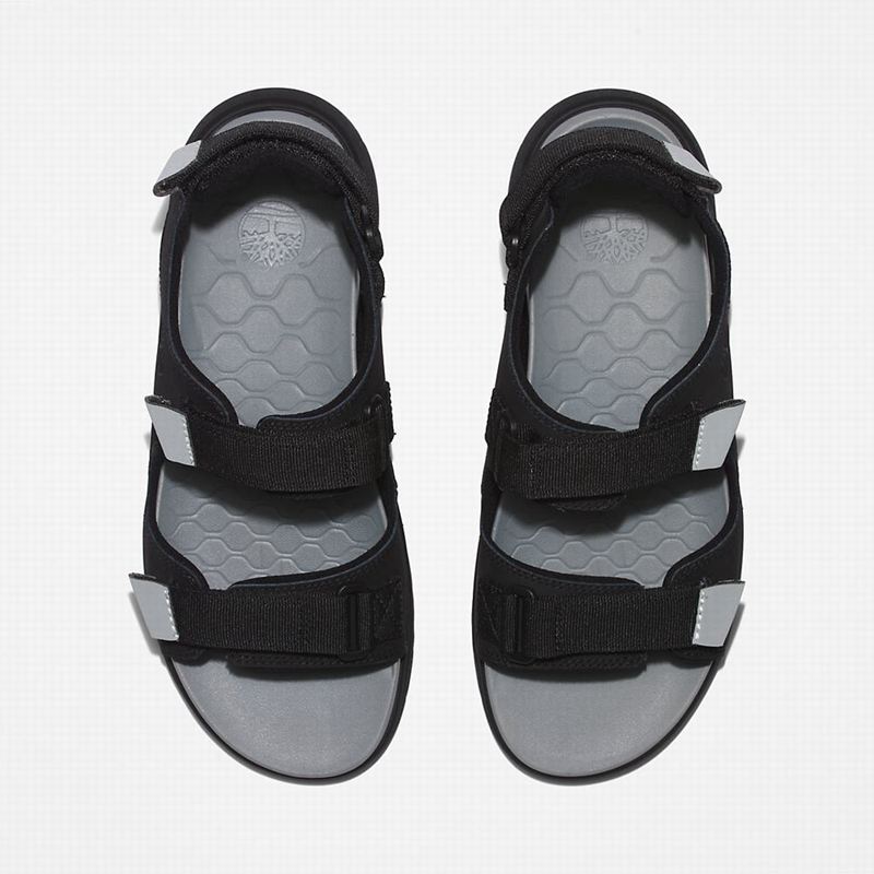 Timberland Whitehaven Backstrap Sandale Crne | 18065101