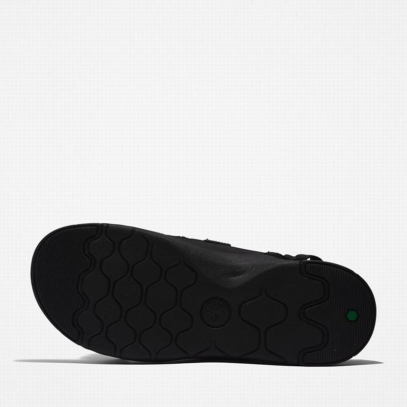 Timberland Whitehaven Backstrap Sandale Crne | 18065101