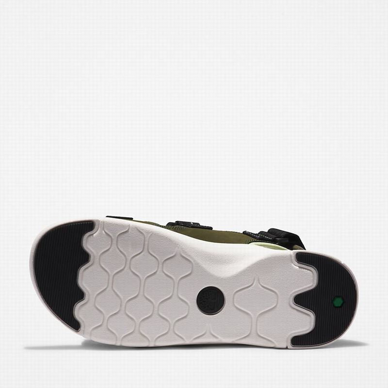 Timberland Whitehaven Backstrap Sandale Maslinasto Zelene | 91330359