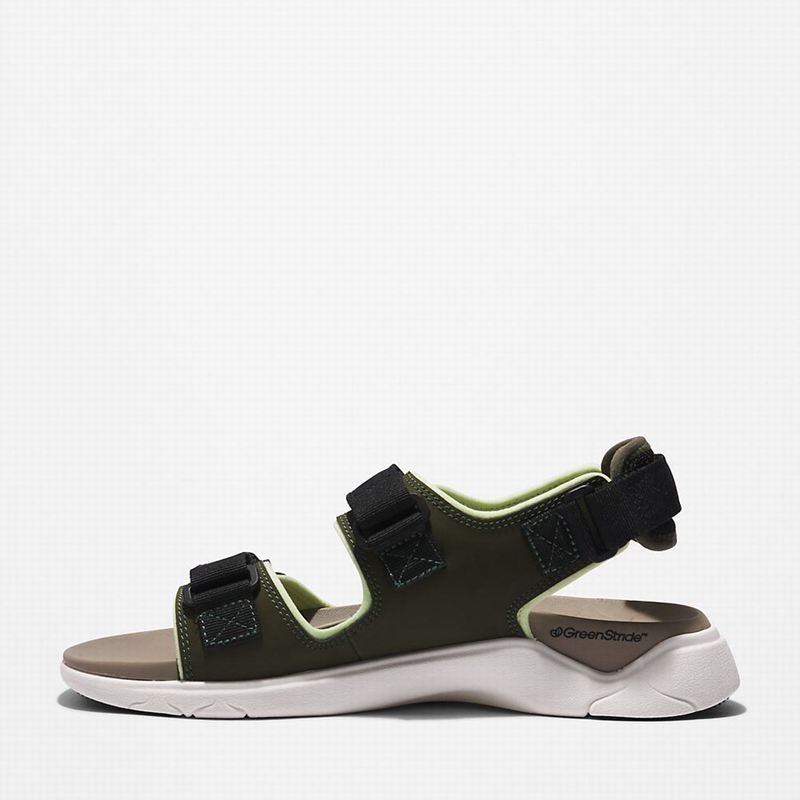 Timberland Whitehaven Backstrap Sandale Maslinasto Zelene | 91330359